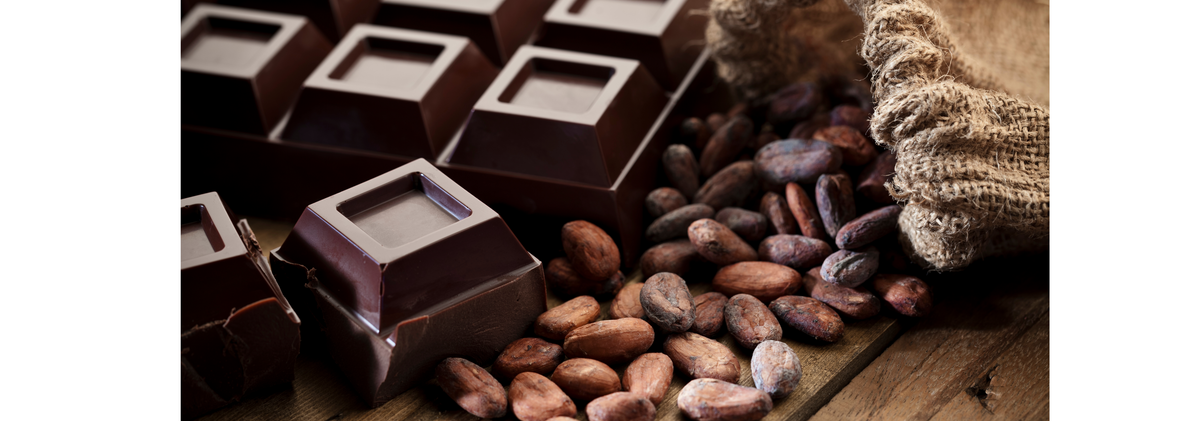Everyday Wellness Part 2: The Sweet Science Behind Dark Chocolate