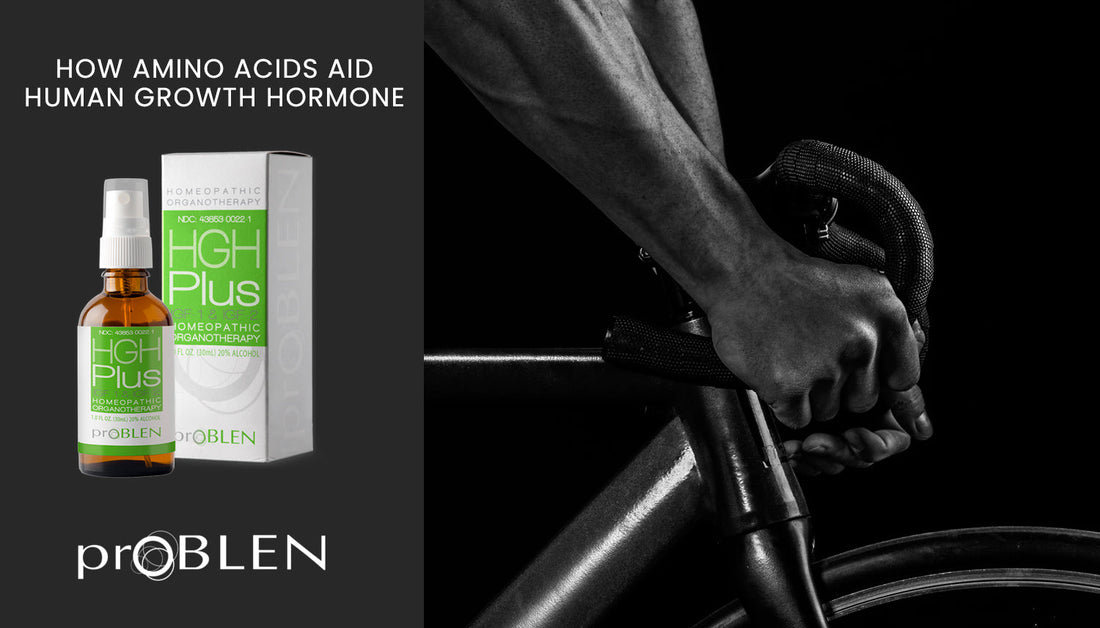 Article cover of 'How Amino Acids Aid Human Growth Hormone' with a man working out and a bottle of HGH Plus. - proBLENopathy