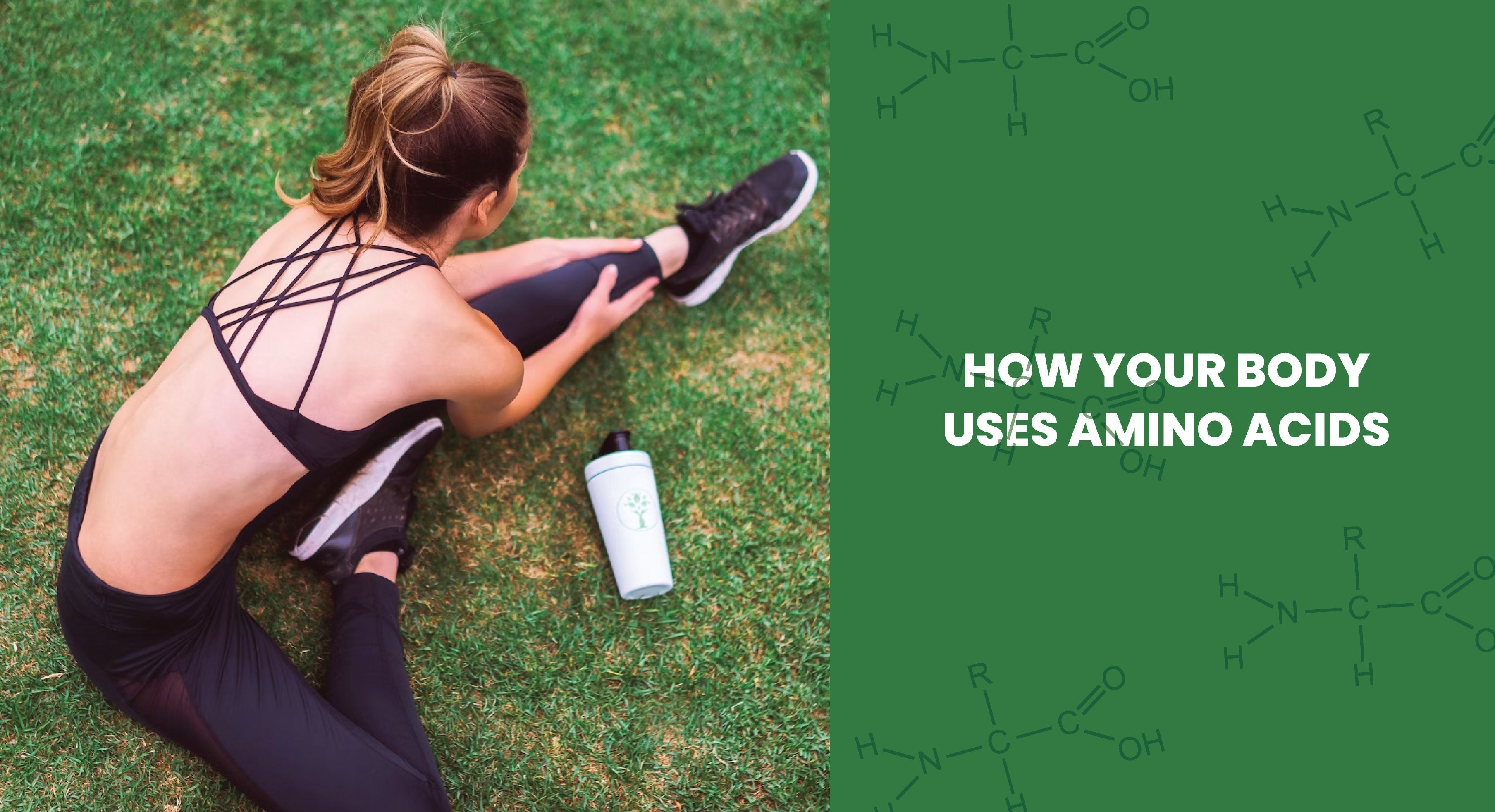 Article cover of 'How Your Body Uses Amino Acids' with a woman stretching in the gass.