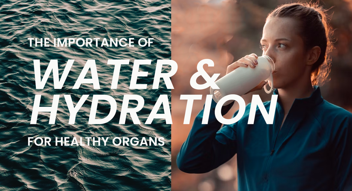 Article cover for 'Importance of Water and Hydration for Healthy Organs' with the title of the article in white and a woman drinking out of a water bottle. Next to her is the image of a body of water. - proBLENopathy