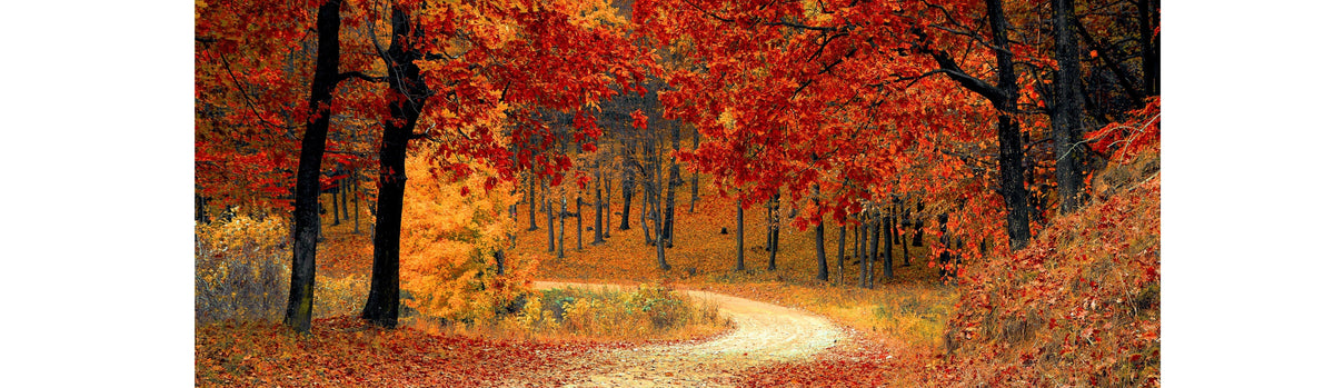 Fall Into Wellness: Preparing Your Body for the Change of Seasons