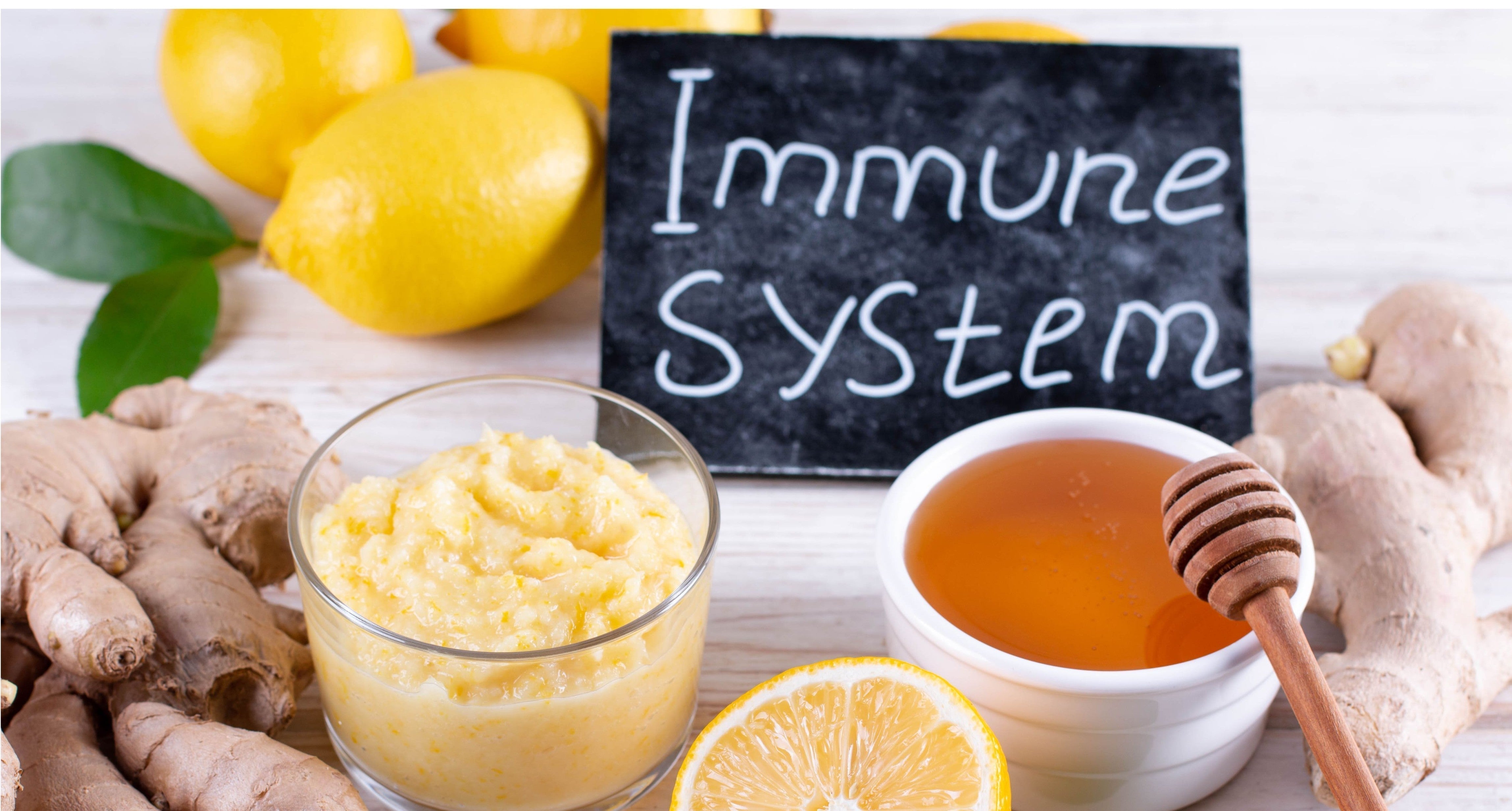 Article cover for “Why Daily Immune Support Is Essential and How proBLENopathy Can Help” with remedies for sickness, such as ginger, honey, and lemon, with a sign that says ‘immune system.’