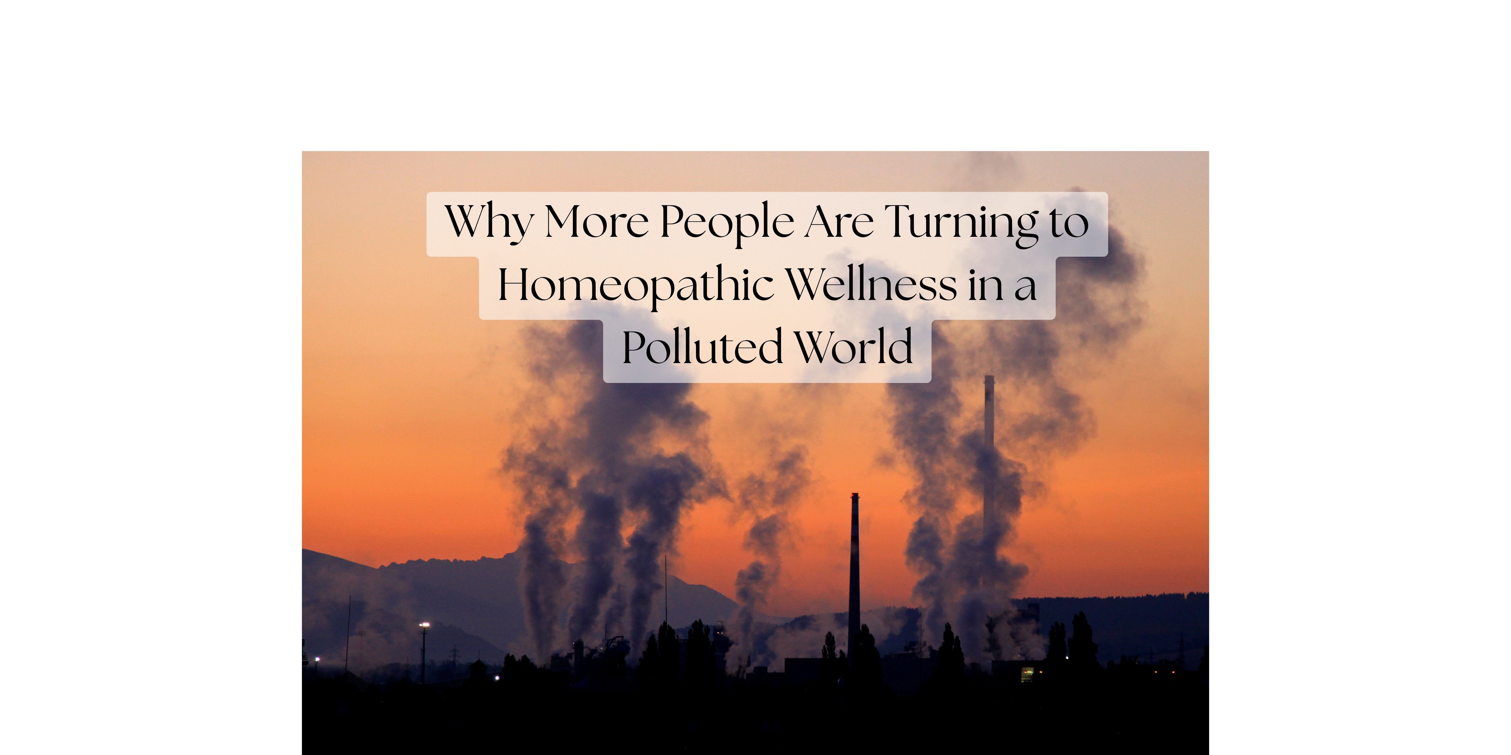 Why More People Are Turning to Homeopathic Wellness in a Polluted World