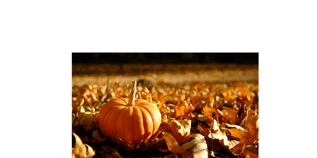 Pumpkin Power: The Surprising History and Health Benefits of Fall's Favorite Fruit