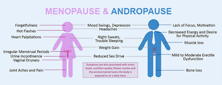 Article cover for, 'What is Andropause and How Can You Ease the Symptoms?' with a diagram of menopause and andropause. - proBLENopathy